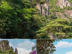 -三清山风景名胜区