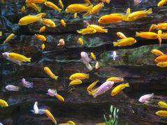 -多彩贵州城极地海洋世界