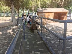 -长白岛森林公园