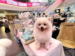 -友谊阳光城