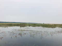 -白洋淀景区