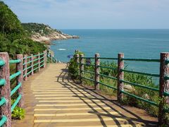 -广东惠东海龟国家级自然保护区