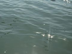 -蠡湖大桥公园