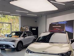 -上海浦东smart汽车全功能店(金桥店)