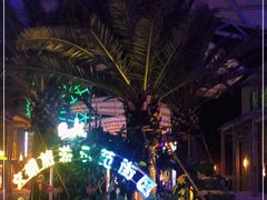 -三亚海昌梦幻海洋不夜城