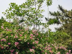 -潭柘寺景区