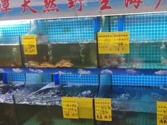 -坛南湾阿强农家乐.海鲜大排档老字号(福州地标美食店)