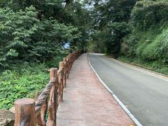-广州市石门国家森林公园