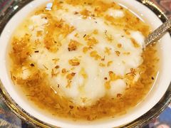-古树酸奶(八廓南街店)