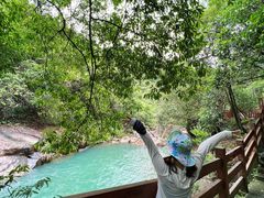 -广州白江湖森林公园