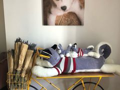 -Husky Go! 哈士奇体验馆·宠物咖啡厅狗咖
