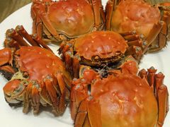 -王宝和酒家(黄浦店)