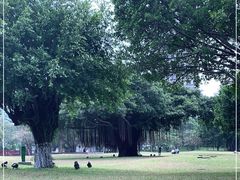 -万绿园
