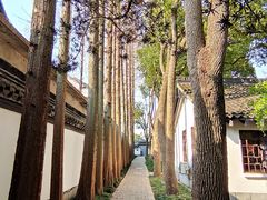 -上海方塔园
