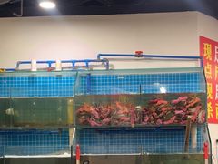 -辣螃铠盆盆蟹大排档(总店)