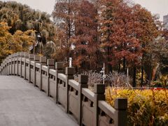 -四海公园(南山区)