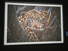 -罗红摄影艺术馆