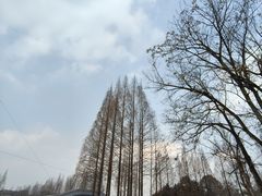 -蜀绣公园