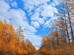 -莫尔道嘎国家森林公园