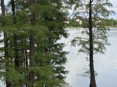 -美的鹭湖森林度假区