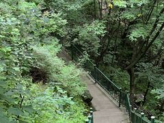 -洛阳白云山景区
