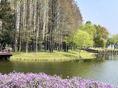 -尚湖风景区