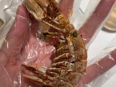 -阳江餐厅·30年老字号·粤菜海鲜大排档