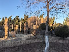 -悦海公园