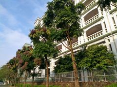 -佛山市第一中学