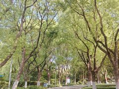 -昆山城市生态森林公园