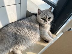 -Oasis绿洲银饰珍珠手作diy(壹方城店)