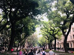 -星巴克臻选(广州沙面店)