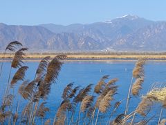 -野鸭湖国家湿地公园