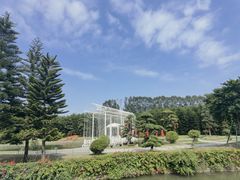 -迪茵湖田家舍生态农场