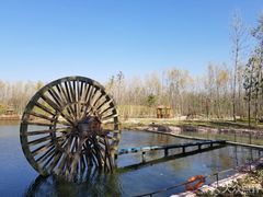 -合肥滨湖国家森林公园