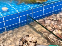 -金滏山·烤肉海鲜火锅自助(襄阳万达店)