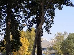 -辽宁大学(崇山校区)