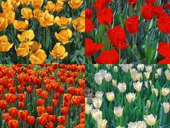 -玄武湖景区-情侣园游乐场