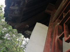 -秋霞圃