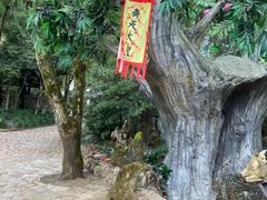 -灵栖洞天