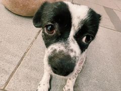 -漆黑觉米粉(三里屯店)