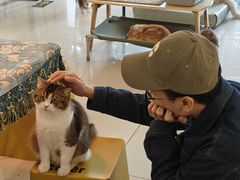 -平行世界·猫咖(首经贸店)