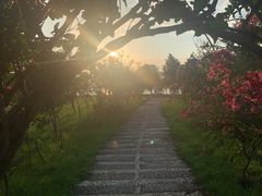 -瑶湖郊野森林公园