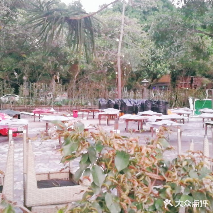 大自然醉鹅以前生意可火了，不知是不是疫情的原因