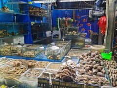 -岳各庄批发市场(西四环中路店)