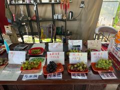 -马陆小张葡萄园农家乐