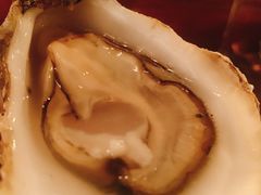 -斯普汇生蚝牛排馆(中骏世界城店)