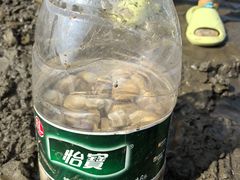 -启东黄金海滩景区