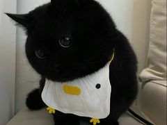 -lincat·猫舍(广州店)