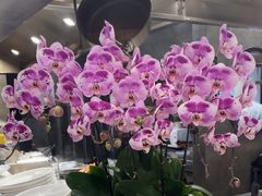 -毛家饭店·30年融合新湘菜(汉峪金谷店)